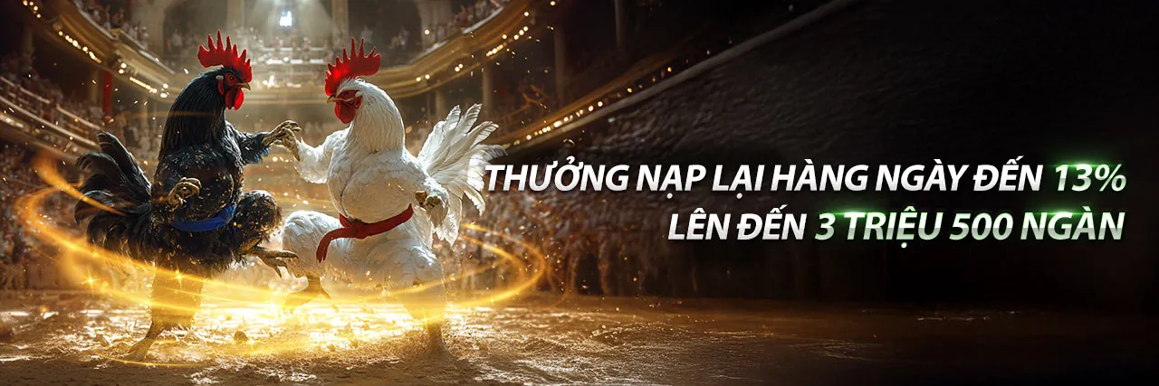 Hình ảnh chính giới thiệu về vin7773 link vào, nền tảng giải trí trực tuyến hàng đầu